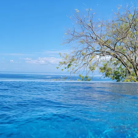 Spectacular View Luxury Villa,  Overlooking Ocean at Bahia Pez Vela Resort