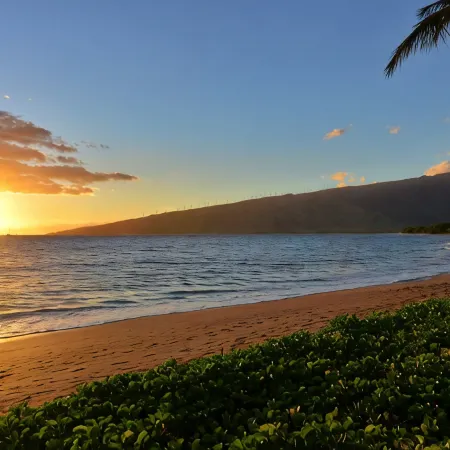 Best Oceanfront Value in Kihei - Kealia Resort!