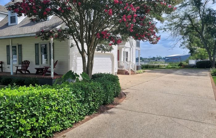 High Water Guest House<br loading=