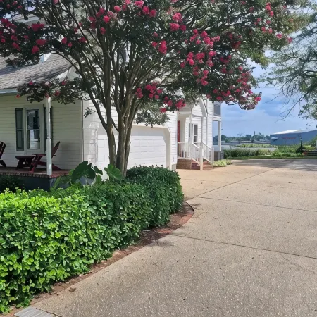 High Water Guest House<br>