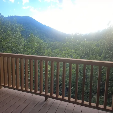 Family Friendly cabin with Mountain views