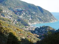 APARTMENT AND TERRACE 100 SQM SEA VIEW+PANORAMA LEMEGLIO PRIVATE PARKING Hotels in Moneglia