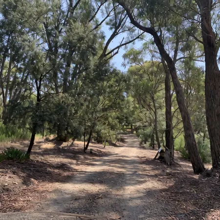 Bright and spacious bungalow in authentic bush setting