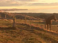 CURROLGA Elevated Seaviews, Tranquil Coastal Retreat Rolling hills, Dogs welcome - Homestays