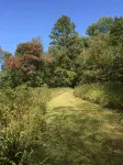 Mid-century A-frame style cabin with lake views near the heart of Amish Country - Chalets