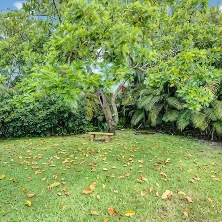 Delray Home W/Pool-Close to Beach & Downtown Atlantic Ave-Fun Tiki Hut-Bike-WiFi