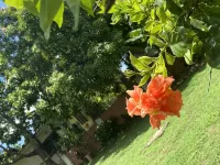 YanceyLargoEstate 2Br Villa w/Mountain Views by RedAwning -  Holiday Villas