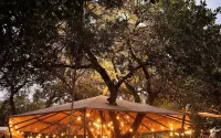 Tropical EGlamping - Pool