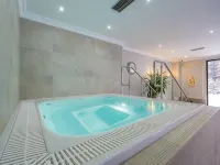 Hotel Paryski Art & Business Zakopane - Basen Jacuzzi Sauna Małpi Gaj - Hot Tub