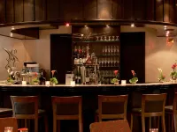 紐倫堡機場瑞享酒店 - 酒吧