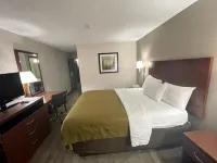 Econo Lodge Cartersville-Emerson Lake Point - Wifi