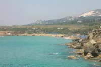 Ammes - bar