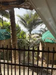Secret Garden - Ocean View