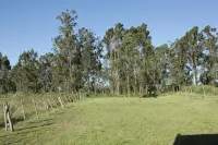 Rincon del Diario - Homestays