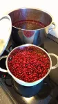 Polhem Bed & Breakfast - breakfast