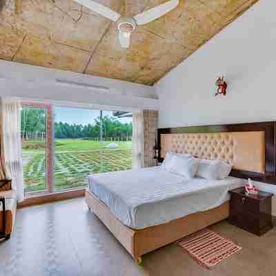 Rain Forest Eco Resort Rooms