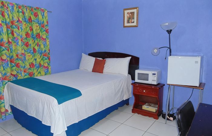 Tropical Manor Inn - Kingston