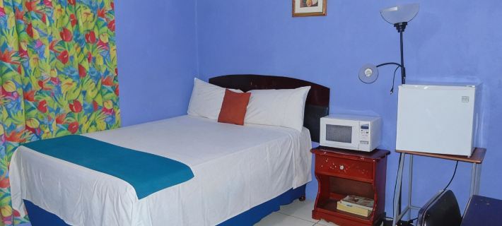 Tropical Manor Inn - Kingston Hotels in Kingston