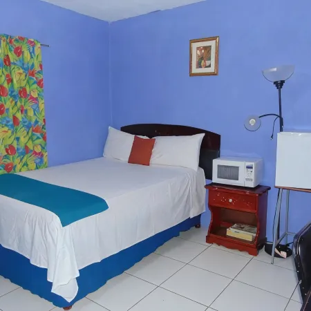 Tropical Manor Inn - Kingston