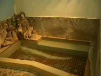 Hagakurekan - Hot Springs