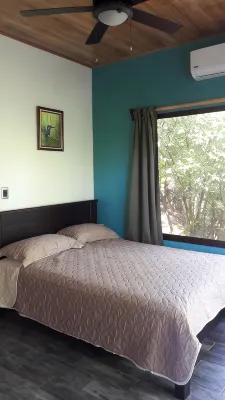 House near the beautiful beaches of Manuel Antonio and others tourist sites. - Homestays