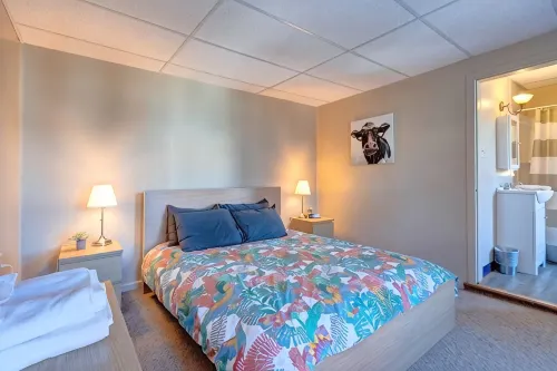 Candy Bar, Apt #8One Bedroom with Pull Out - بيت ضيافة