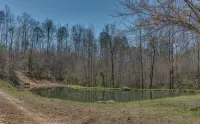 Piney Knob Lodge-15 Min to Lake Lure-30 Min to TIEC-Hot Tub -Stocked Pond-Creek - Alphydda