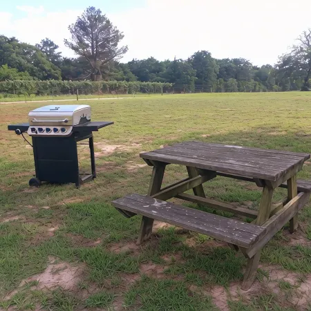 The Franklin Ranch Hunter's Cabin - 35 Minutes from Texas A&M football!