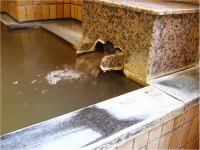 Resort Oarai Matsumoto - Pemandian Air Panas