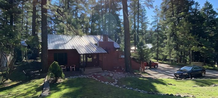 Mountain Cabin walking distance to Park and Brewery. Level off street parking. Hotels in Cloudcroft