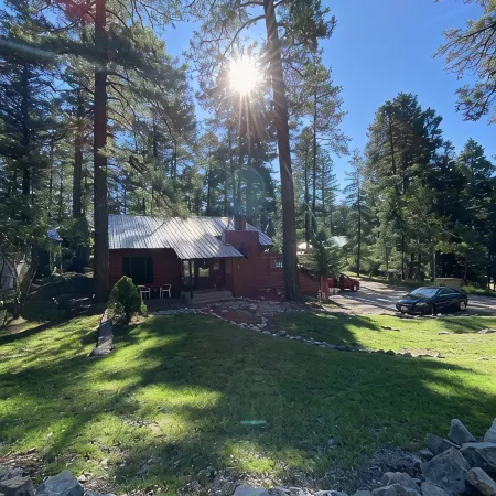 Mountain Cabin walking distance to Park and Brewery. Level off street parking.