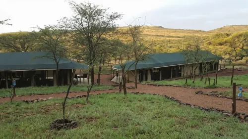 Wellworth Ole Serai Luxury Camp - Moru Kopjes - breakfast