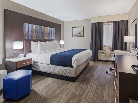 Best Western Atlanta-Marietta Ballpark Hotel