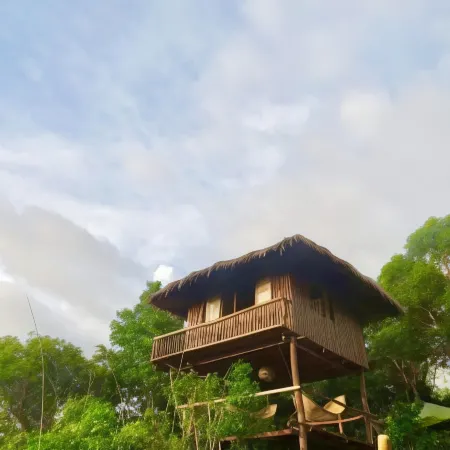 Sanctuaria Treehouses Busuanga