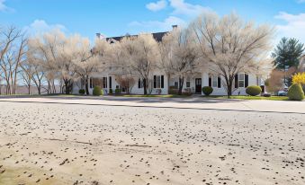 a white building with trees in front of it and a dirt road in front at The Bradford