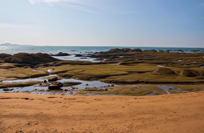 Surroundings Empress Pattaya Hotel Photo