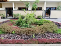 The Laviana Hotel Hotels in 