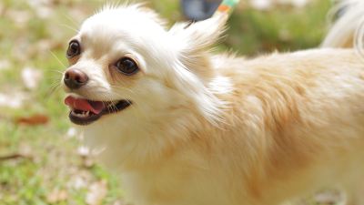 その他 蔵王温泉 ホテルオークヒルの写真
