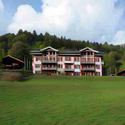 Historic Hotel du Pillon Hotel Exterior