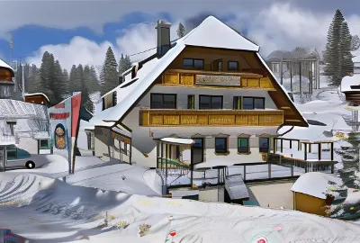 Hotel & Restaurant Grüner Baum - Die Grüne Oase am Feldberg Hotel dekat Feldberg