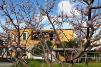 Hotel la Marticana Hotels in Ischia Porto