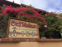 B&B Oui Madame Hotels in Jardines Playas de Tijuana