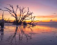 SEABATICAL. Lovely beach house steps to the beach with private pool