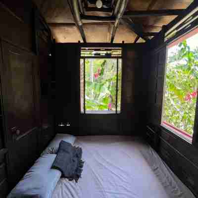 Peaceland Hostel Rooms