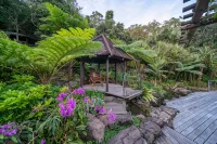 Secrets on the Lake Hotel a Witta