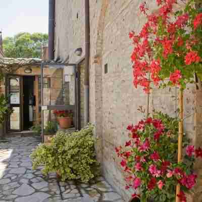 B&B Il Pettirosso di Siena Hotel Exterior