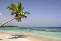 Xeliter Balcones del Atlantico - Las Terrenas - Beach