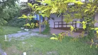 Rose Canine B&B