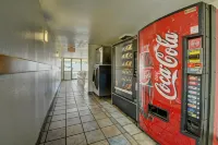 Motel 6 Chicopee, MA - Springfield - Pet friendly