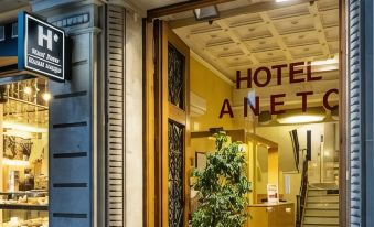 Hotel Aneto